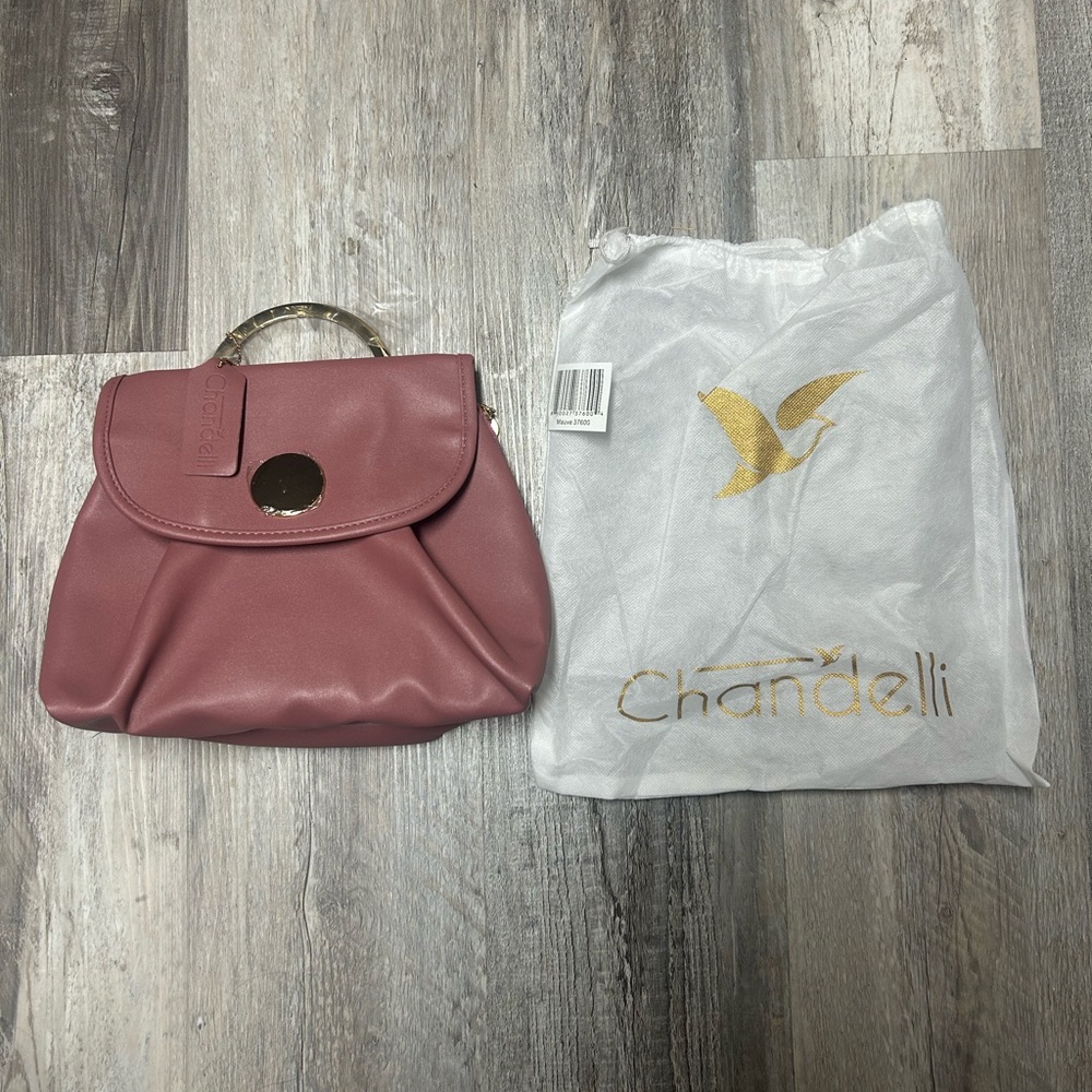 NWT Chandelli Pink Travel Makeup/Toiletry Hanging Bag Water Resistant 

A1